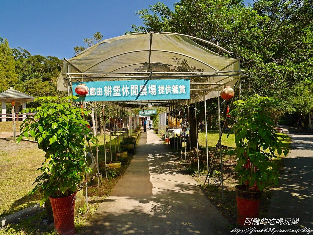 【宜蘭免費景點】長埤湖風景區,餵小動物、騎碰碰車、玩盪鞦韆、欣賞湖景、附設露營區,三星鄉親子旅遊好去處。 - 第18張圖 P2420359