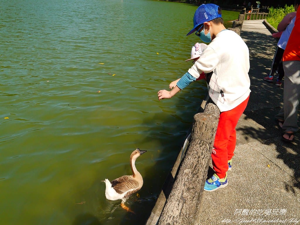 【宜蘭免費景點】長埤湖風景區,餵小動物、騎碰碰車、玩盪鞦韆、欣賞湖景、附設露營區,三星鄉親子旅遊好去處。 - 第28張圖 P2420403