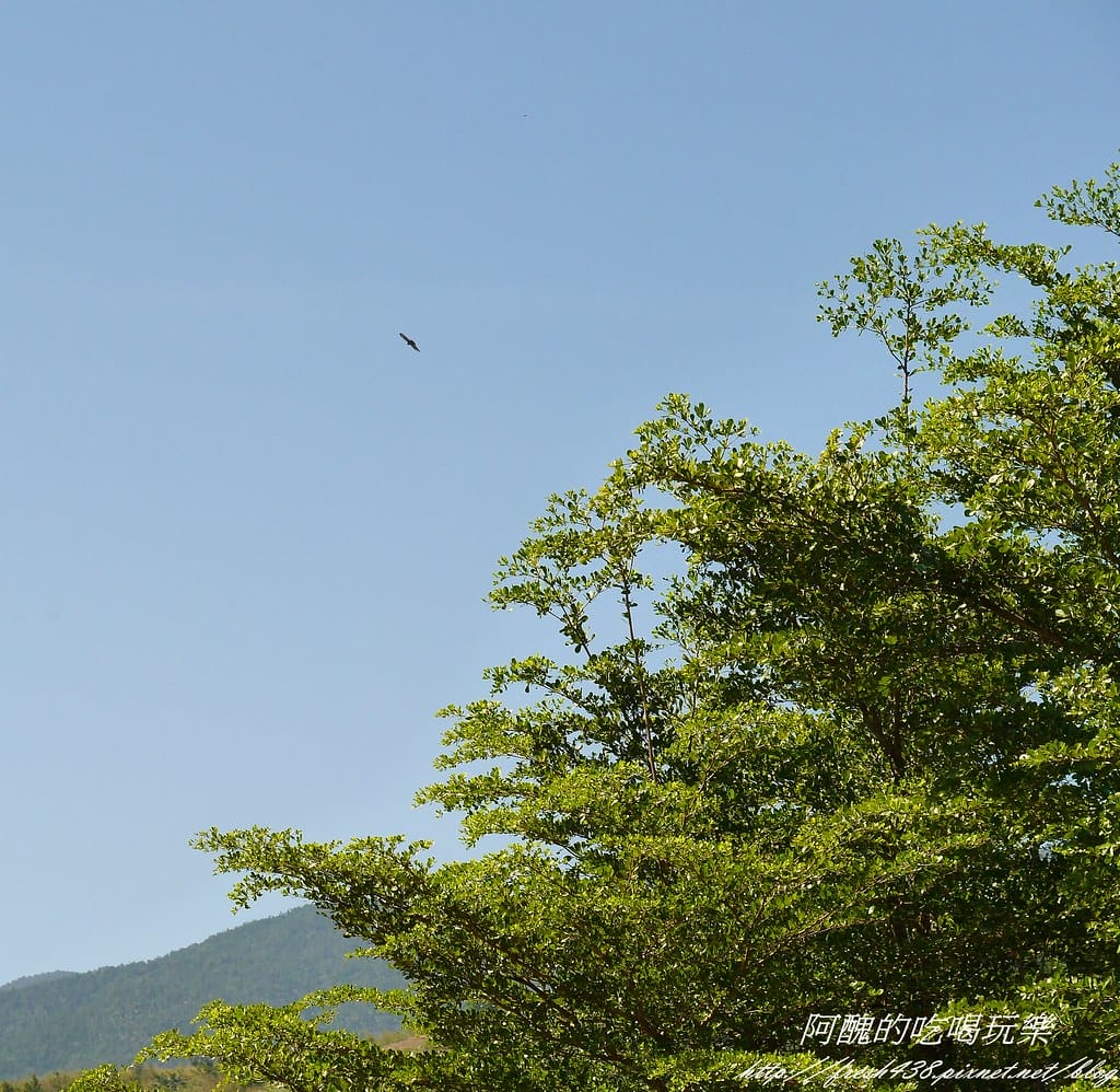 【宜蘭民宿】逢春園,春色滿園、風光明媚,使人心靈富足、重新得力的居所。 - 第118張圖 P2420343