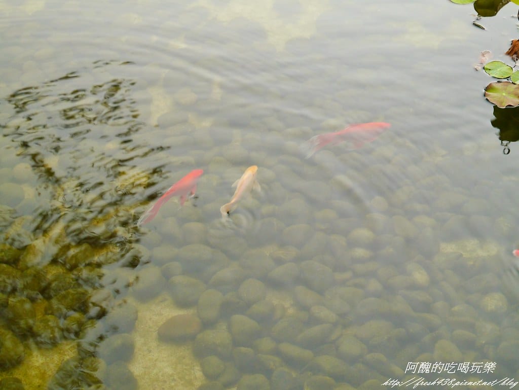 【宜蘭民宿】逢春園,春色滿園、風光明媚,使人心靈富足、重新得力的居所。 - 第57張圖 P2420122