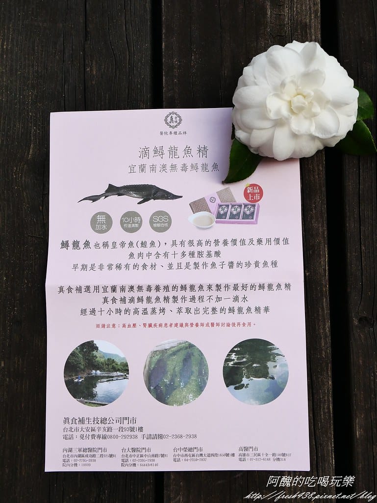 真食補滴鱘龍魚精,無毒養殖珍貴食材,給身體最好的滋補。 - 第8張圖 P1470464