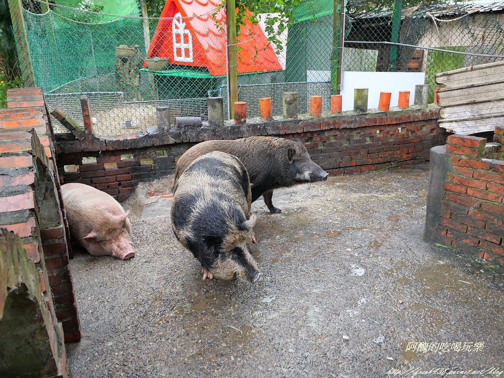 P1000970
