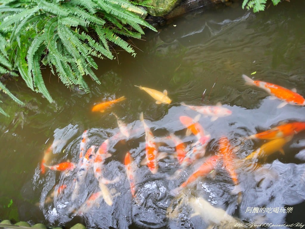 P1000939