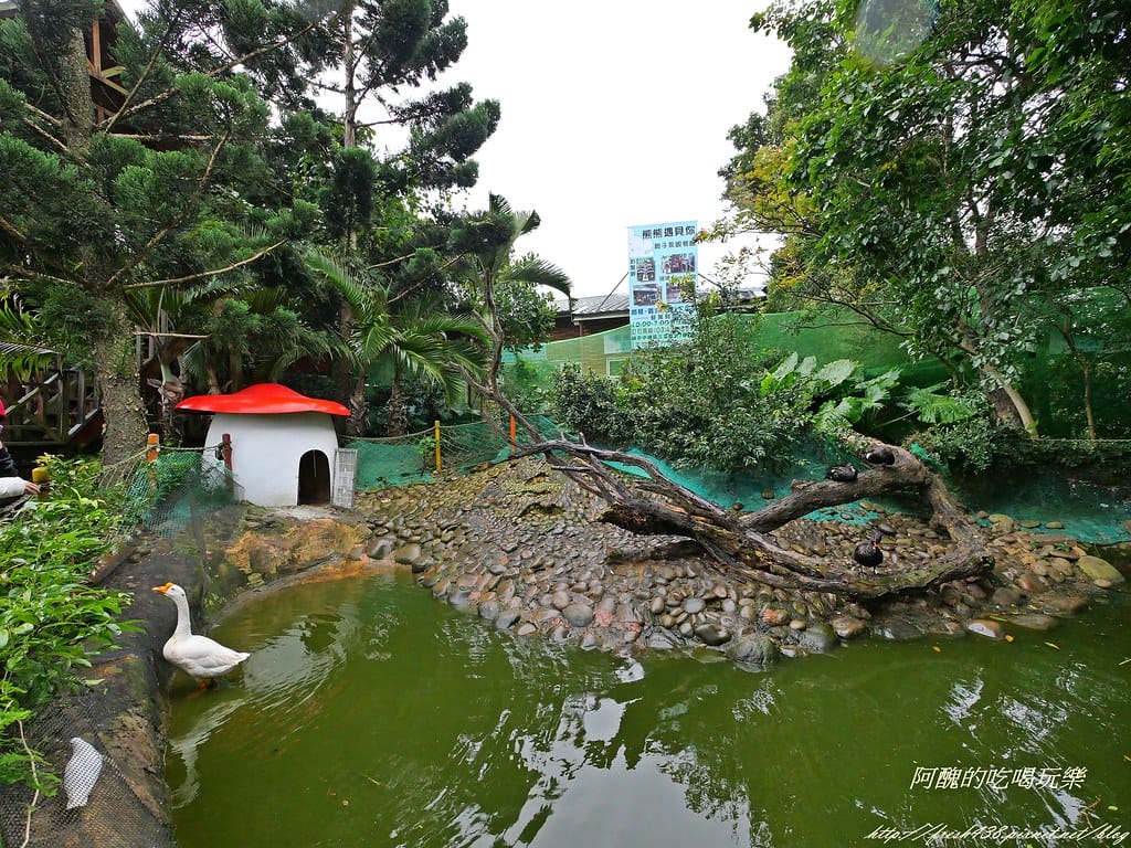 P1000926