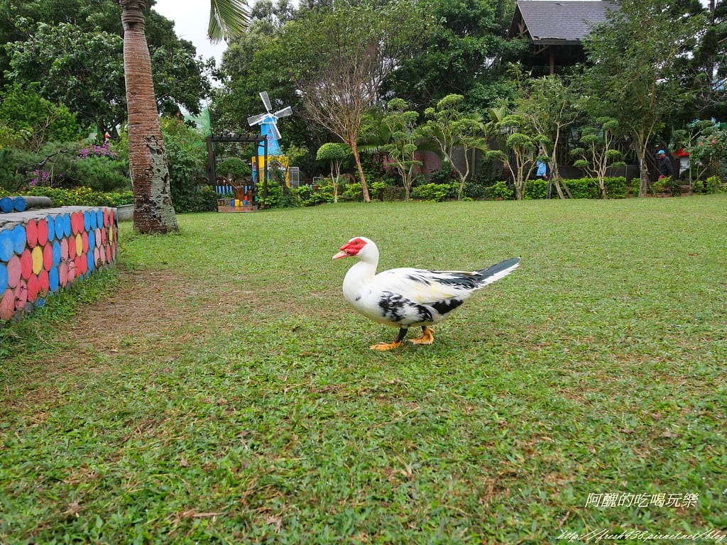 P1000942