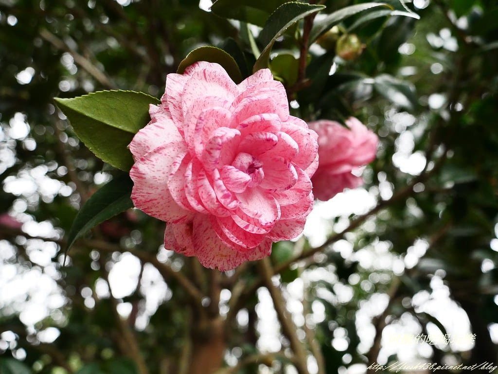 P1480200