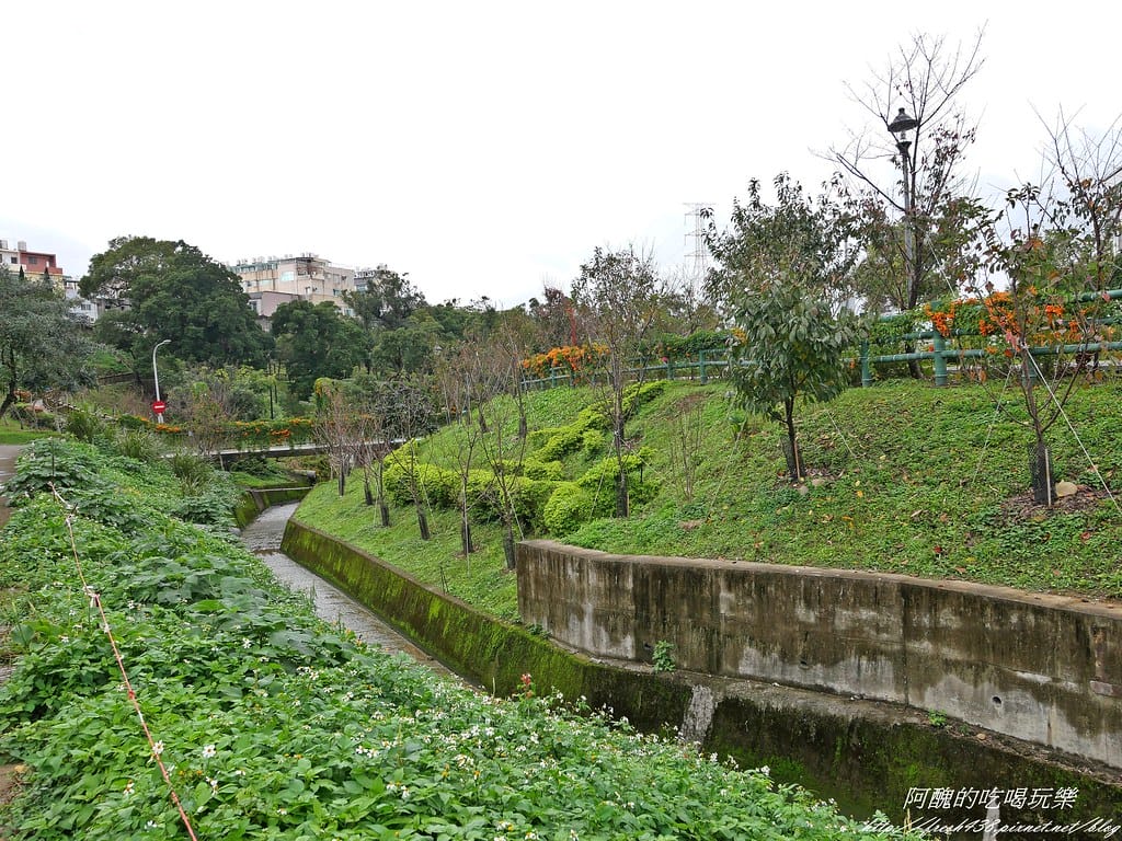 【新北特色公園】鶯歌永吉公園,3D立體彩繪步道超有趣,還有籃球場、遊戲區、體健廣場,IG打卡新景點。 - 第5張圖 P1001386