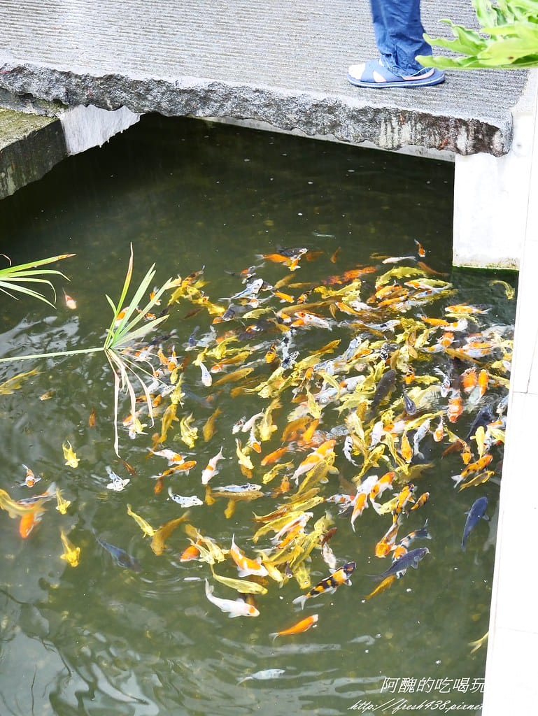 【宜蘭民宿】悠悅光Aura Villa(新樂館),動物主題房型,打造親子新樂園,戲水池、電動車、烤肉、沙坑、卡拉OK、溜滑梯房型一應俱全。 - 第40張圖 P1480411
