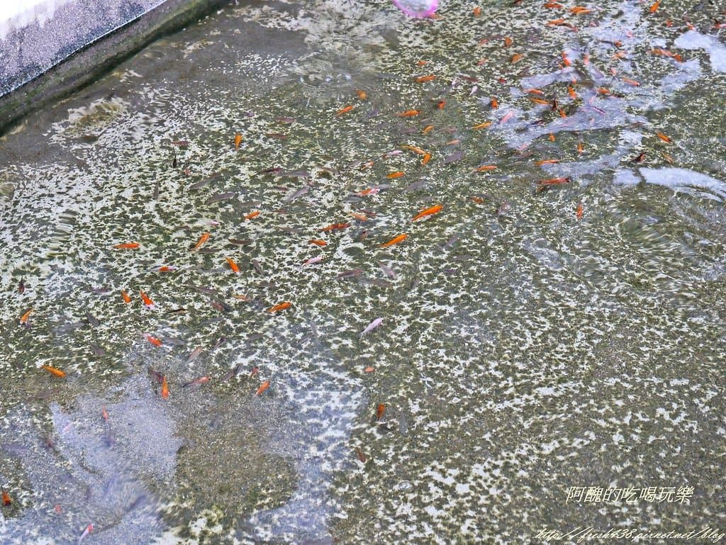 P1480732