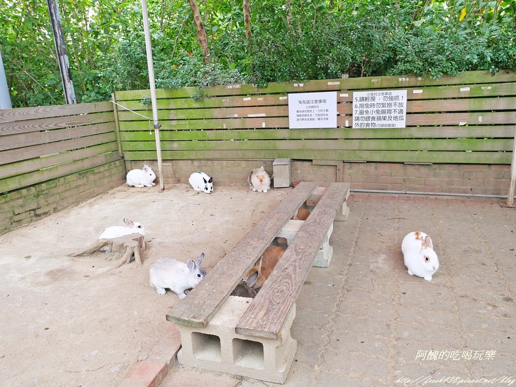 P1001413