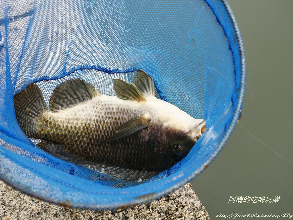 P1480526