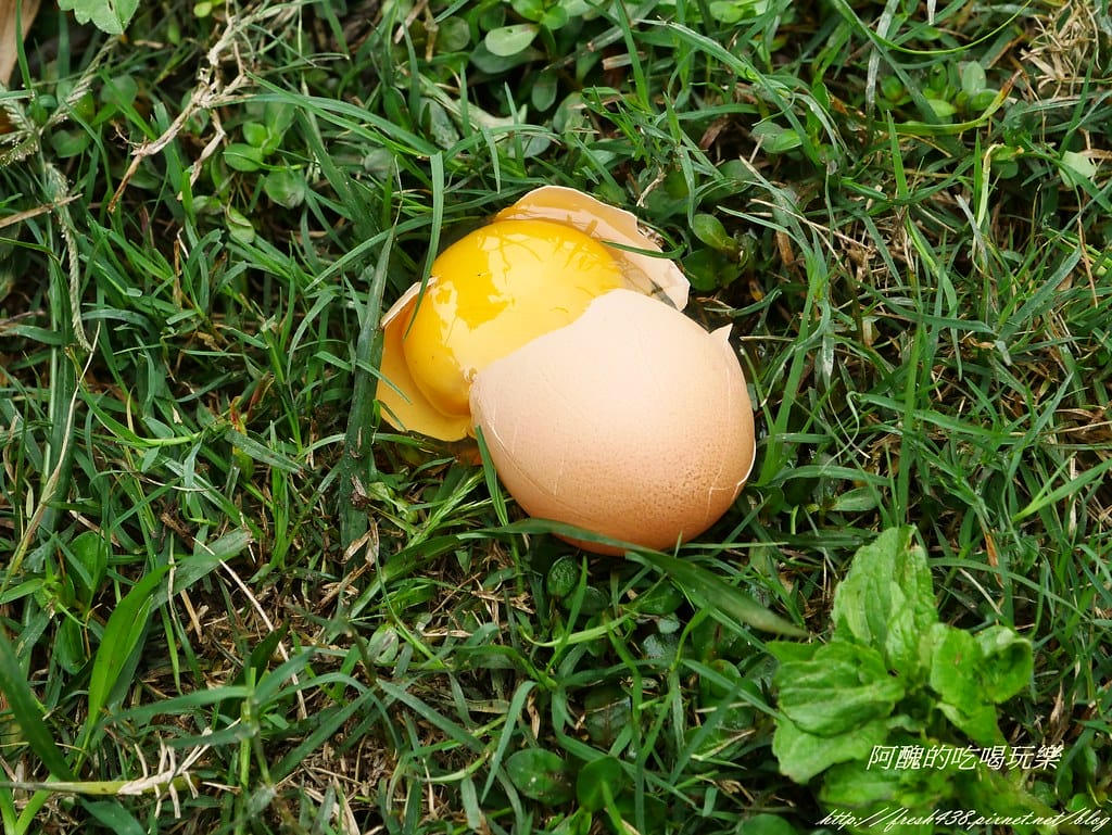P1480500