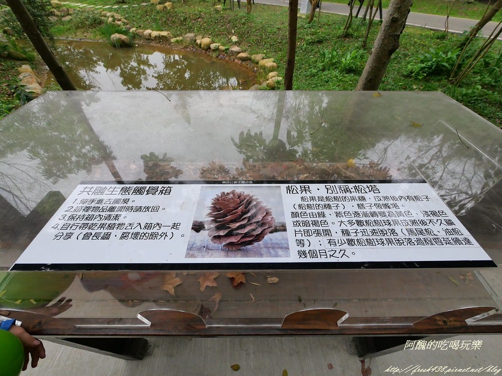 【新北特色公園】林口樂活公園,交通/停車資訊,捷運主題公園,4米高溜滑梯超級刺激,等您來挑戰。 - 第38張圖 P1001702