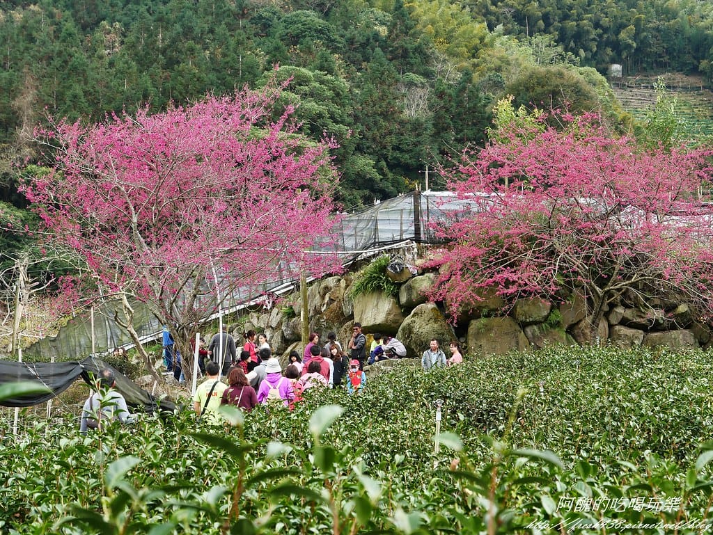P1500878