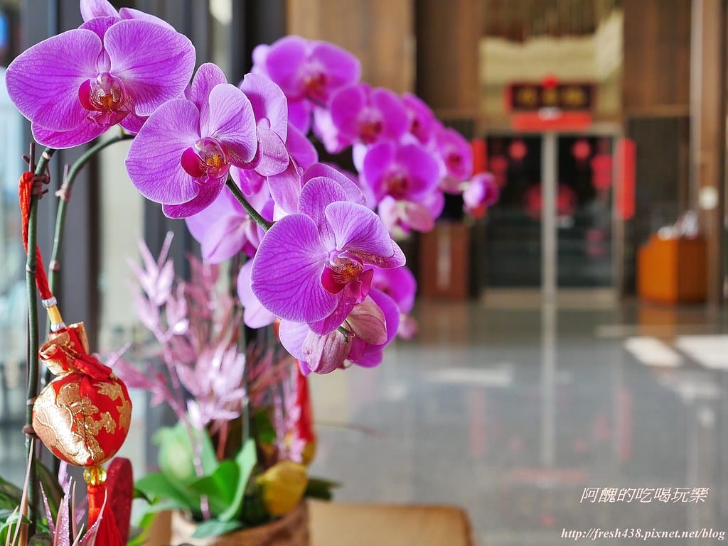 【台中親子飯店】福容大飯店麗寶樂園,游泳池、遊戲室、三溫暖、芳療spa一應俱全,暢遊麗寶樂園渡假區的最佳住宿地點。 - 第22張圖 2-12