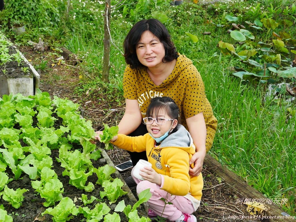 【宜蘭民宿】美村渡假農場,親子房型、賽車、鞦韆與球池,夏天還有戲水區哦!(送四人房住宿券) - 第127張圖 P1520496