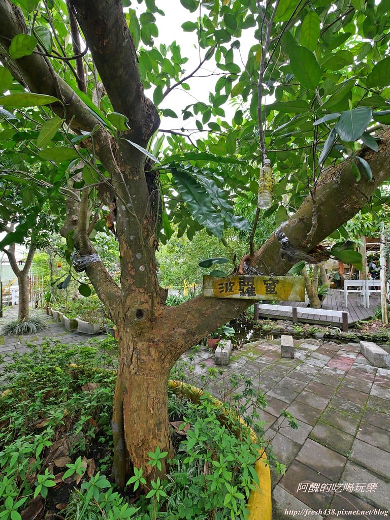 【宜蘭景點】幸福20號農場,窯烤披薩、原木鉛筆、檸檬醋、紅豆麻糬DIY,多樣動物可餵食、吹泡泡、打水仗,還有精緻餐點與下午茶。 - 第143張圖 P1003606