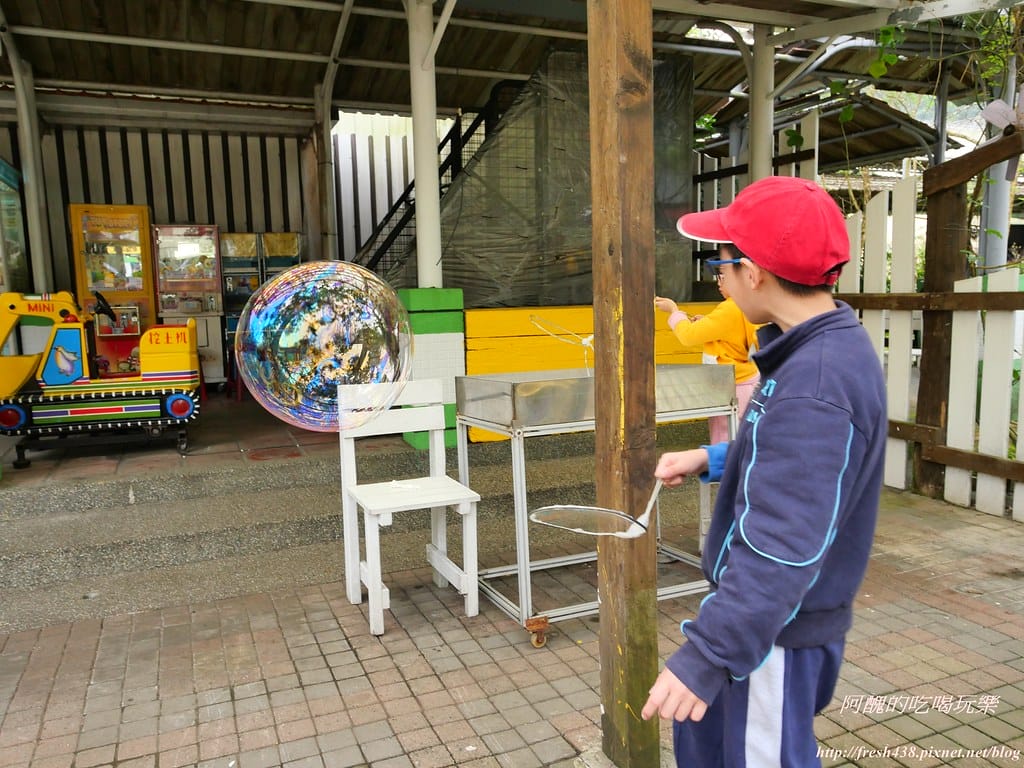 【宜蘭景點】幸福20號農場,窯烤披薩、原木鉛筆、檸檬醋、紅豆麻糬DIY,多樣動物可餵食、吹泡泡、打水仗,還有精緻餐點與下午茶。 - 第42張圖 P1003649