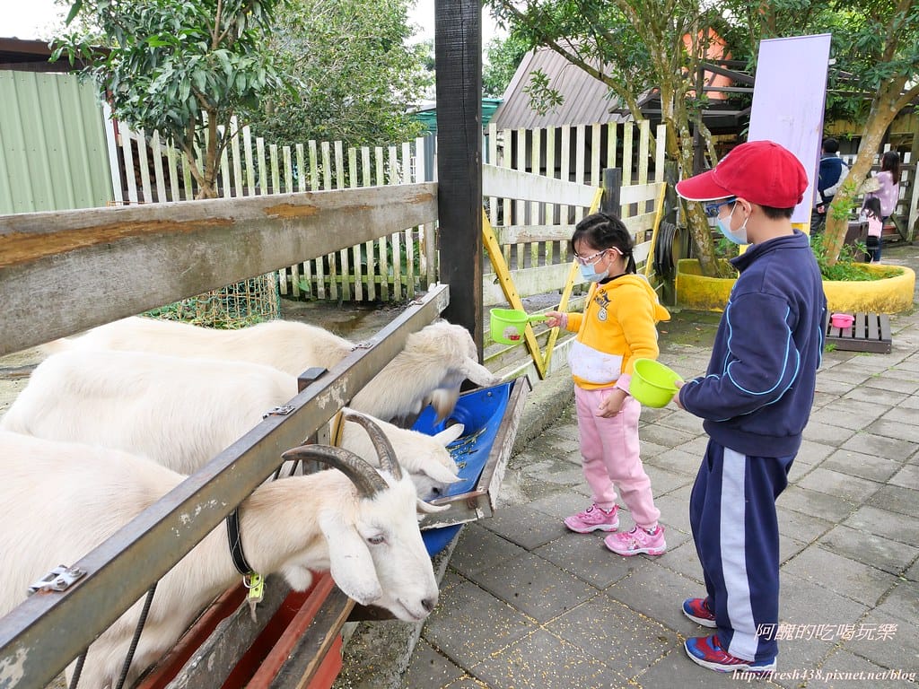 【宜蘭景點】幸福20號農場,窯烤披薩、原木鉛筆、檸檬醋、紅豆麻糬DIY,多樣動物可餵食、吹泡泡、打水仗,還有精緻餐點與下午茶。 - 第125張圖 P1003657