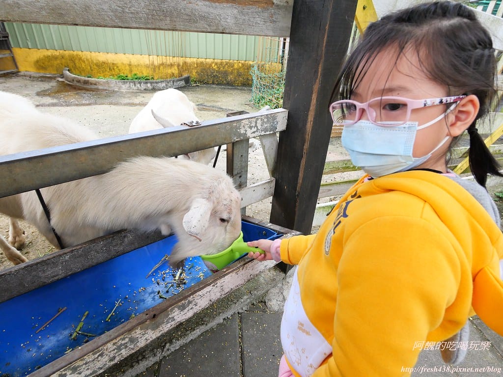 【宜蘭景點】幸福20號農場,窯烤披薩、原木鉛筆、檸檬醋、紅豆麻糬DIY,多樣動物可餵食、吹泡泡、打水仗,還有精緻餐點與下午茶。 - 第126張圖 P1003658
