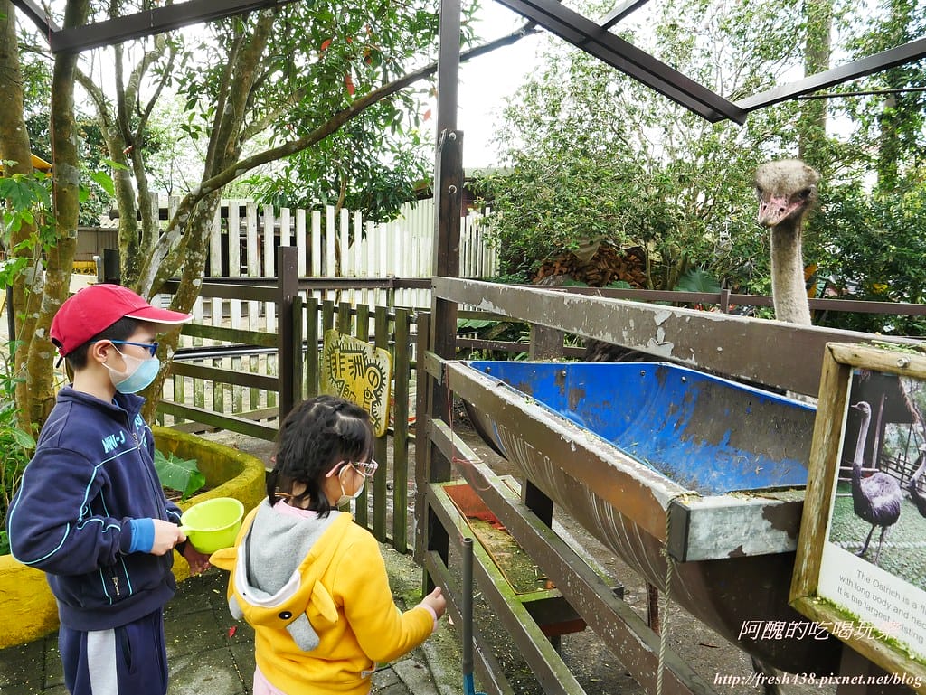 【宜蘭景點】幸福20號農場,窯烤披薩、原木鉛筆、檸檬醋、紅豆麻糬DIY,多樣動物可餵食、吹泡泡、打水仗,還有精緻餐點與下午茶。 - 第121張圖 P1520640
