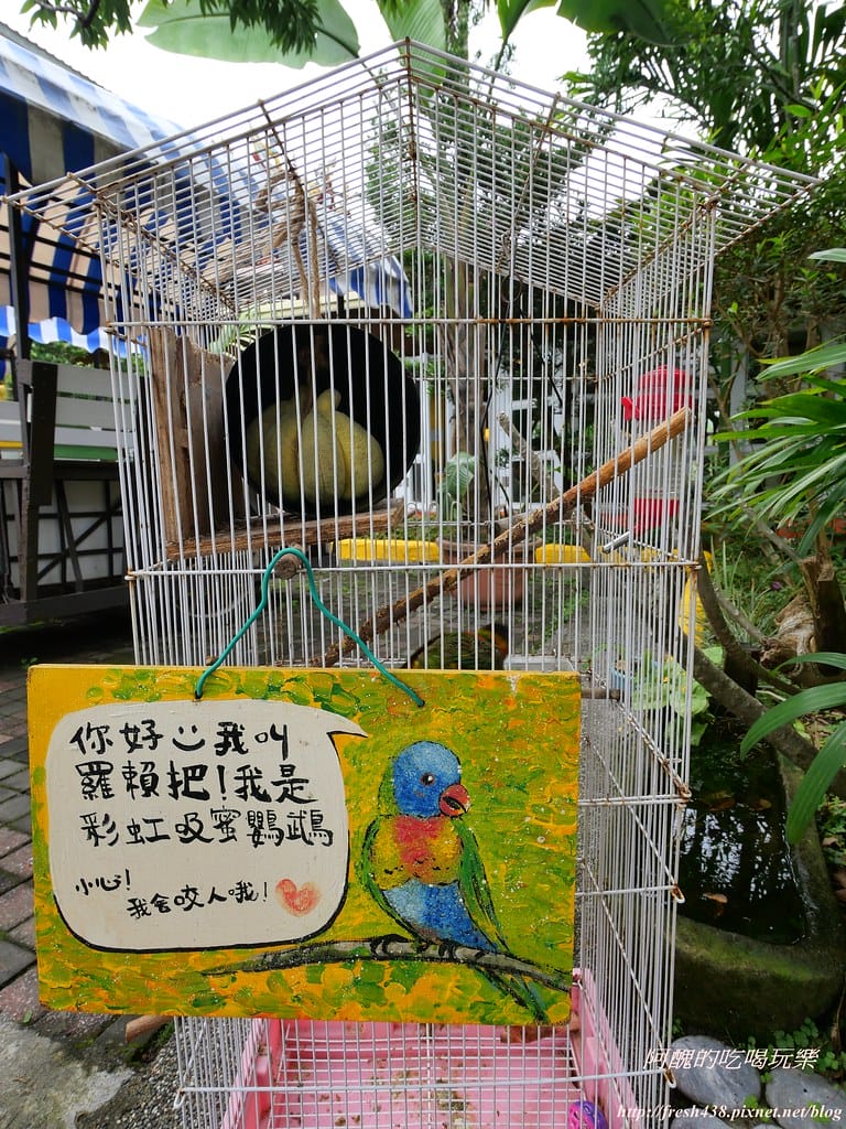 【宜蘭景點】幸福20號農場,窯烤披薩、原木鉛筆、檸檬醋、紅豆麻糬DIY,多樣動物可餵食、吹泡泡、打水仗,還有精緻餐點與下午茶。 - 第14張圖 P1003572