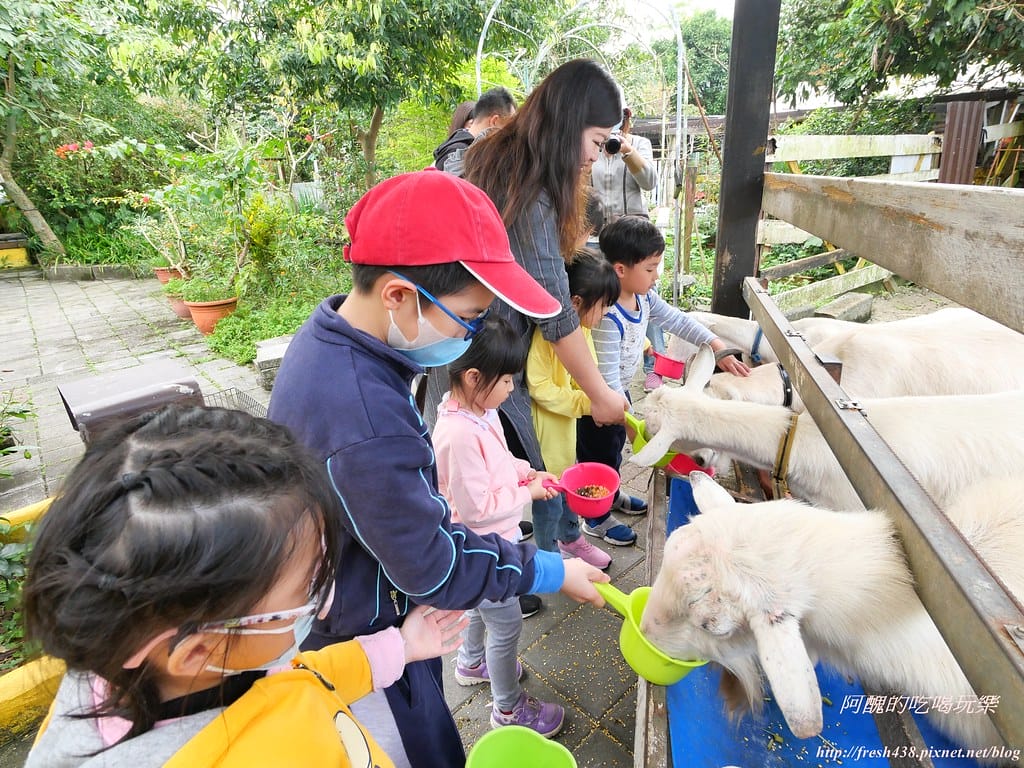 【宜蘭景點】幸福20號農場,窯烤披薩、原木鉛筆、檸檬醋、紅豆麻糬DIY,多樣動物可餵食、吹泡泡、打水仗,還有精緻餐點與下午茶。 - 第127張圖 P1003668