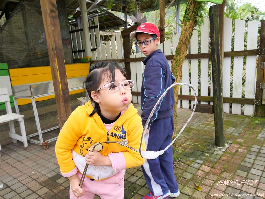 【宜蘭景點】幸福20號農場,窯烤披薩、原木鉛筆、檸檬醋、紅豆麻糬DIY,多樣動物可餵食、吹泡泡、打水仗,還有精緻餐點與下午茶。 - 第40張圖 P1003645