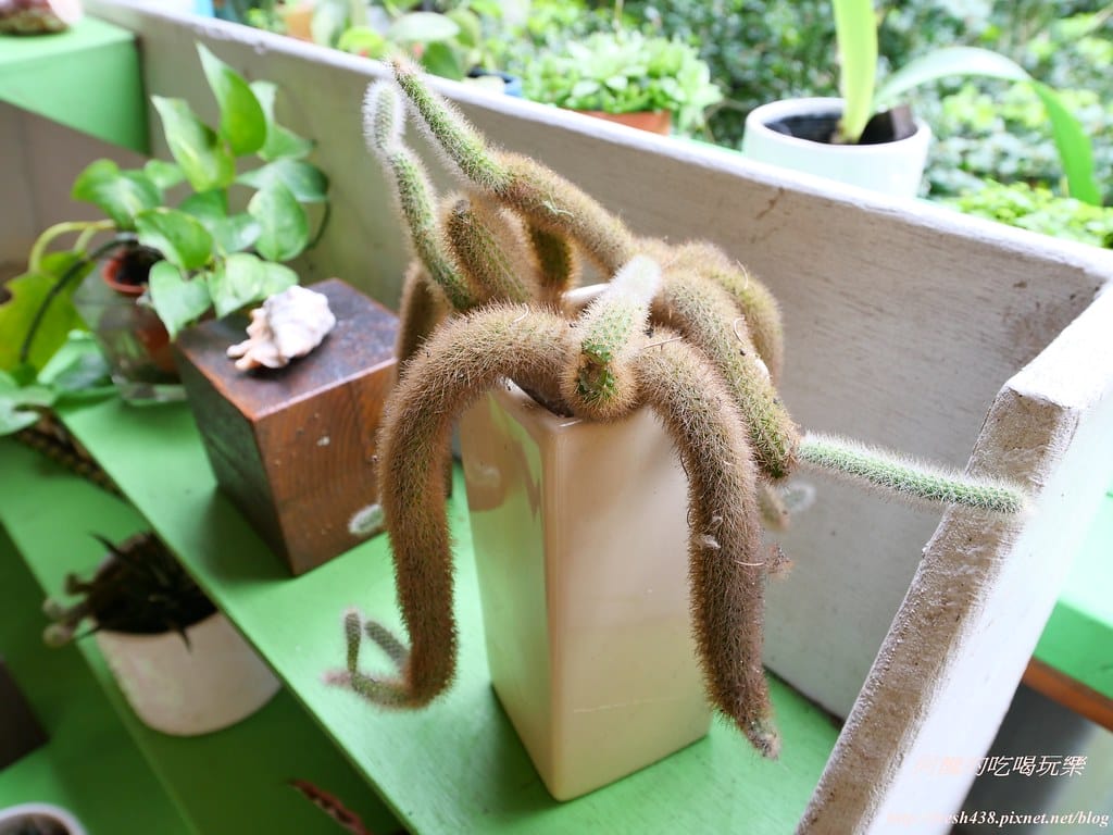 【宜蘭景點】幸福20號農場,窯烤披薩、原木鉛筆、檸檬醋、紅豆麻糬DIY,多樣動物可餵食、吹泡泡、打水仗,還有精緻餐點與下午茶。 - 第136張圖 P1003622