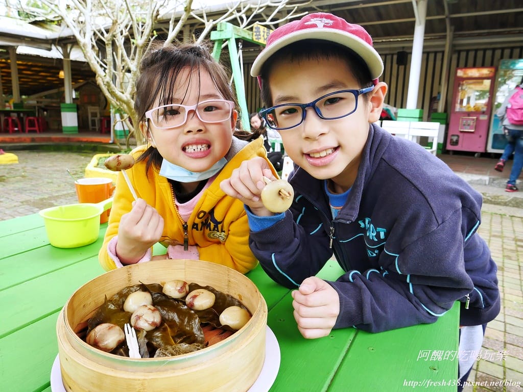 【宜蘭景點】幸福20號農場,窯烤披薩、原木鉛筆、檸檬醋、紅豆麻糬DIY,多樣動物可餵食、吹泡泡、打水仗,還有精緻餐點與下午茶。 - 第71張圖 40311697433_30ebf5797e_b