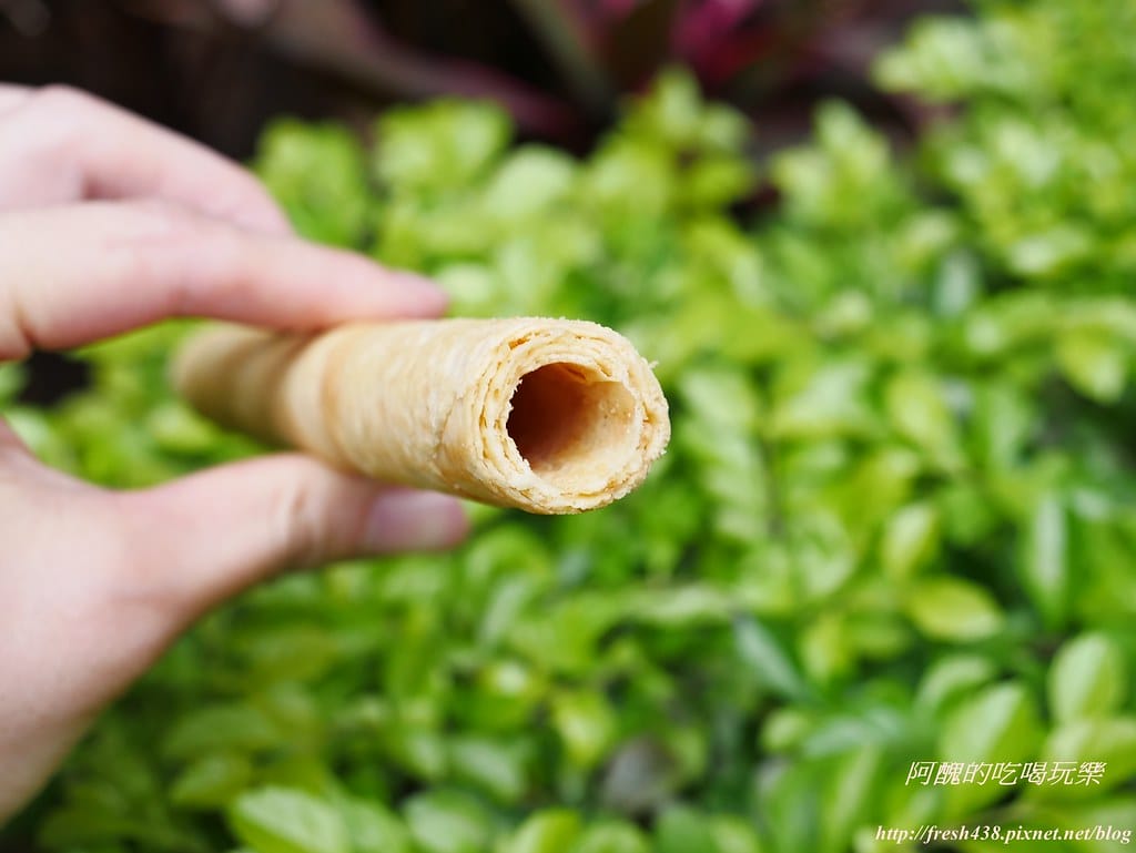 【美食推薦】中保集團暨復興空廚甜點一籮筐,如意柿、厚蛋捲、牛軋糖,讓您甜上心頭、喜上眉梢。(送牛軋糖) - 第21張圖 P1520373