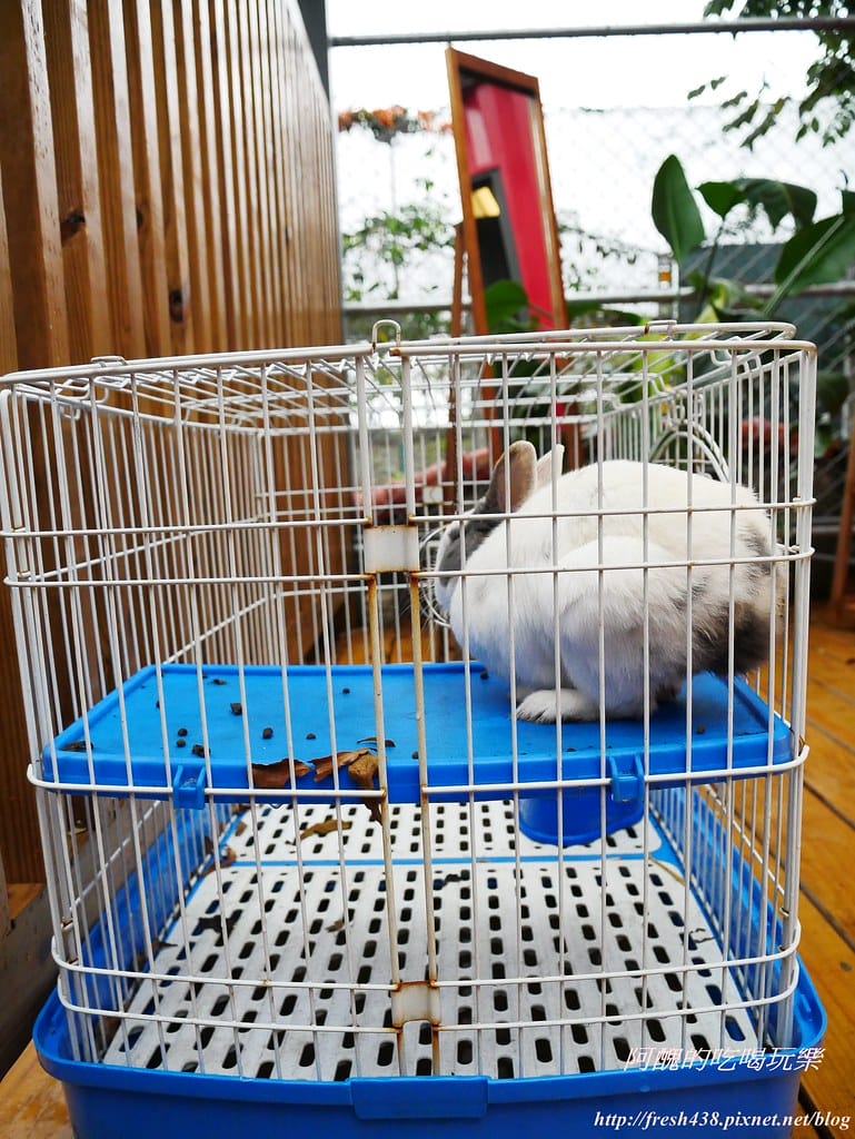 【桃園親子餐廳】Brick Maker玩樂磚家,樂高主題親子餐廳,結合美食與科技,開啟孩子科學教育的第一步! - 第20張圖 P1530102