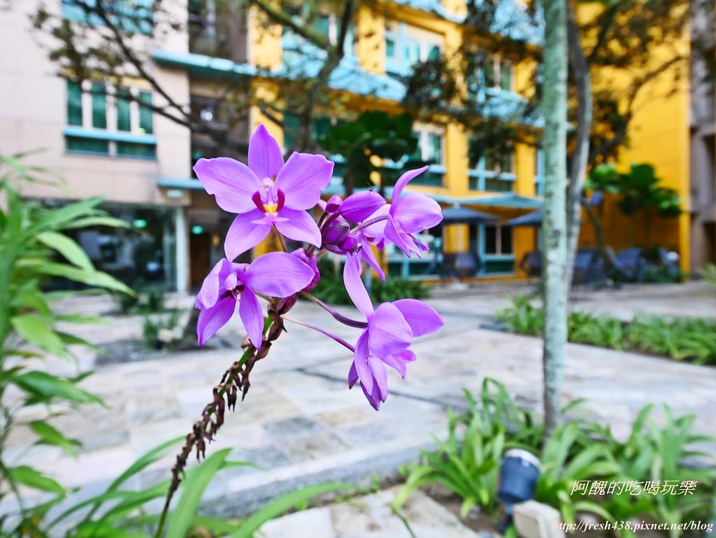 P1500175