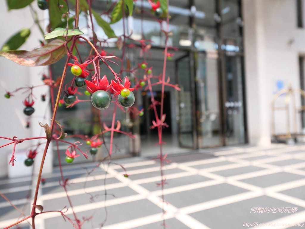 【嘉義親子飯店】雲登景觀飯店,阿里山下極具質感、擁有無敵美景的飯店,附兒童超跑與親子遊戲室。 - 第147張圖 P1004302