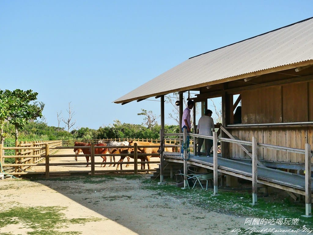 P1460971 (2)