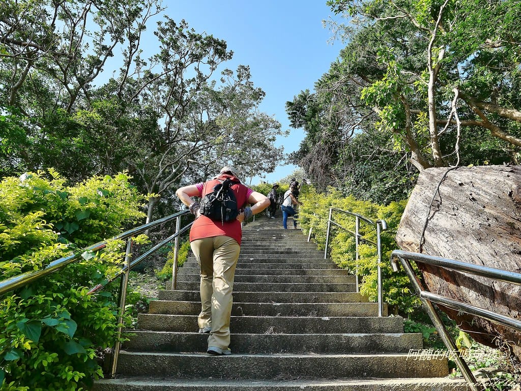 P1470347 (2)