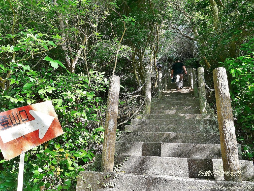 P1470364 (2)