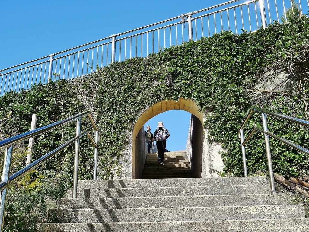 P1470348 (2)
