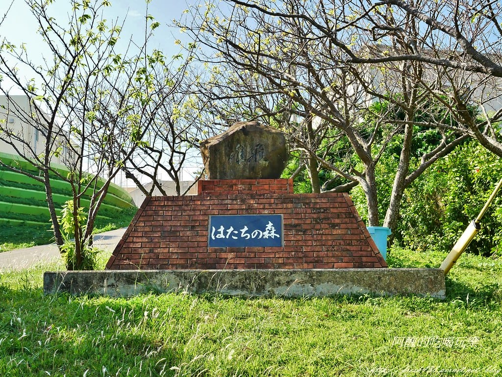 P1470337 (2)