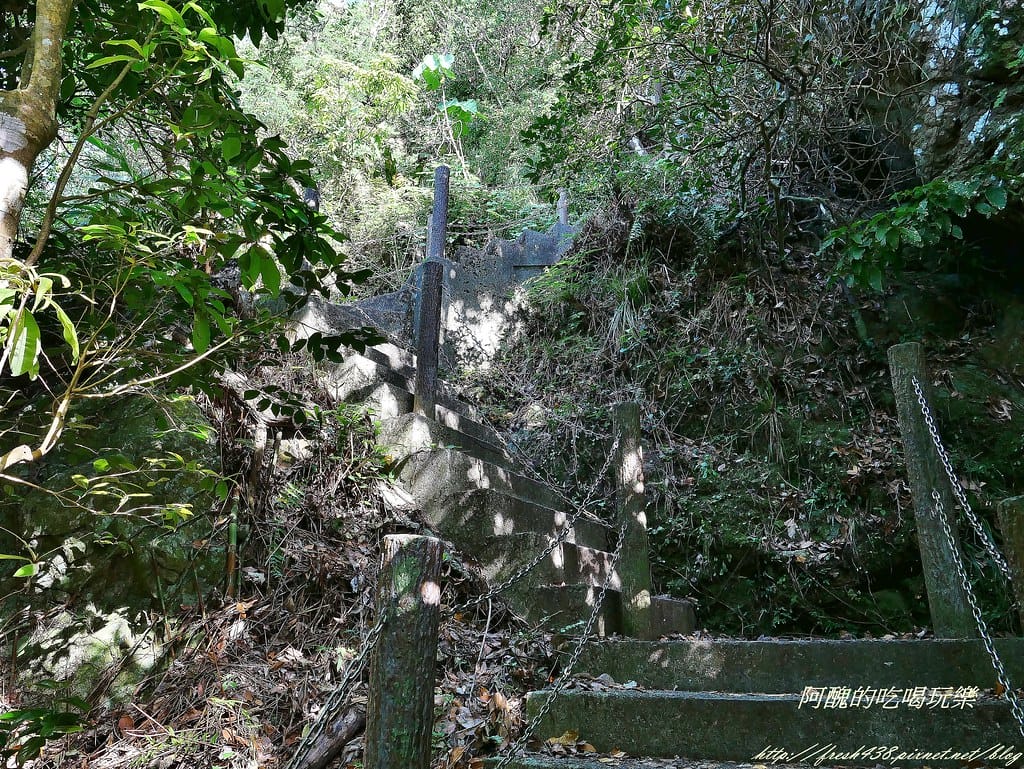 P1470366 (2)