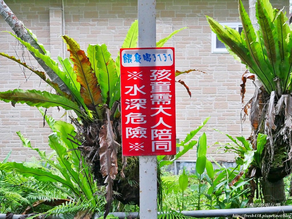 【宜蘭民宿】童話村親子生態農場民宿,夢幻親子房型、自製蔥油餅、海陸不老鍋,4、5月還有螢火蟲可觀賞哦! - 第107張圖 P1540132