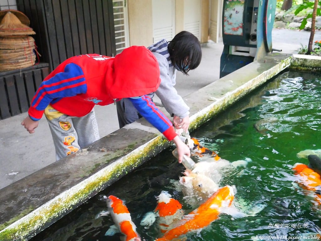 【宜蘭民宿】童話村親子生態農場民宿,夢幻親子房型、自製蔥油餅、海陸不老鍋,4、5月還有螢火蟲可觀賞哦! - 第109張圖 P1540122