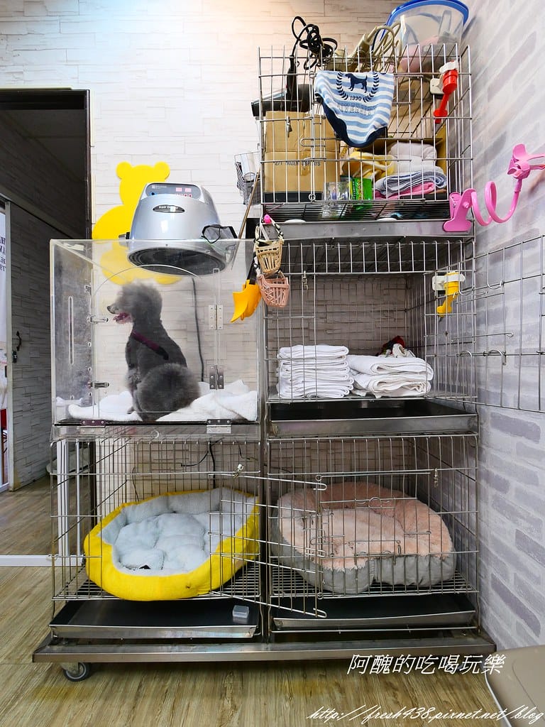 P1005628