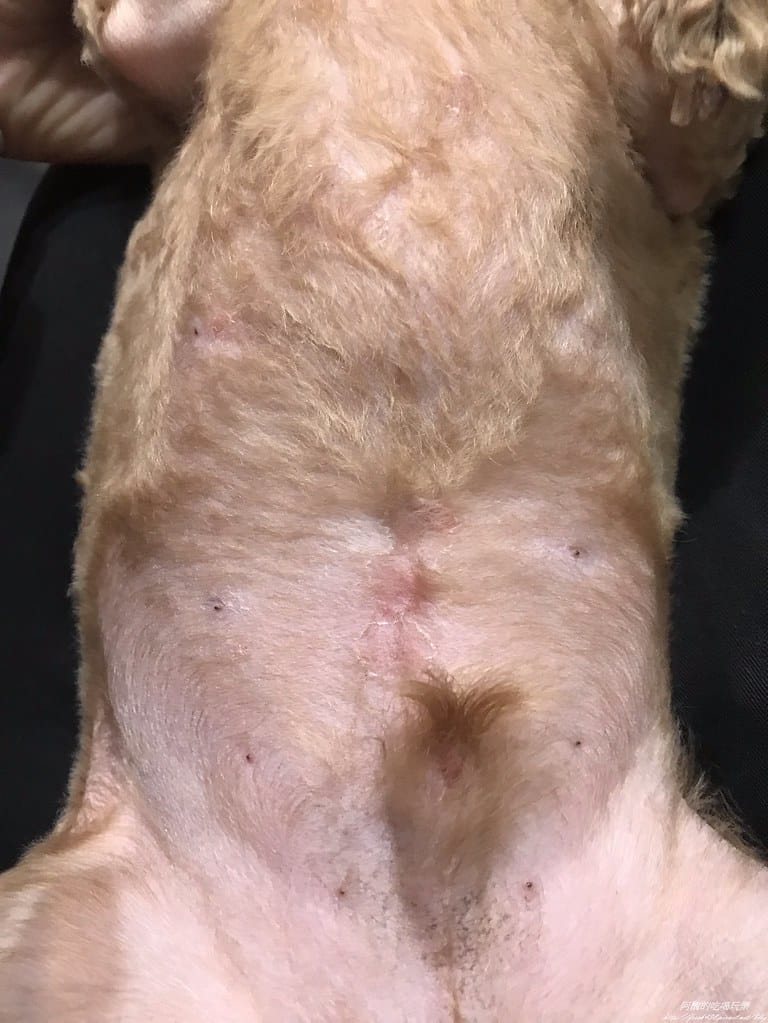S__115769349