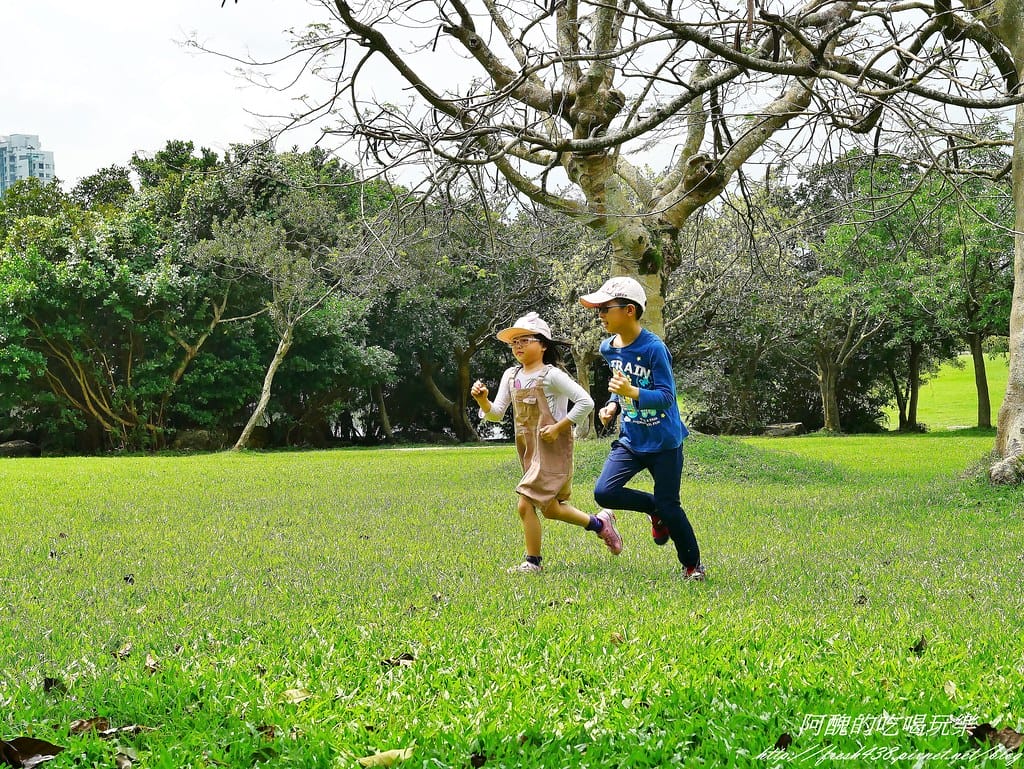 【宜蘭民宿】香狄亞民宿,正對羅東運動公園,充滿巧思與創意的電梯民宿。(送住宿券) - 第127張圖 95