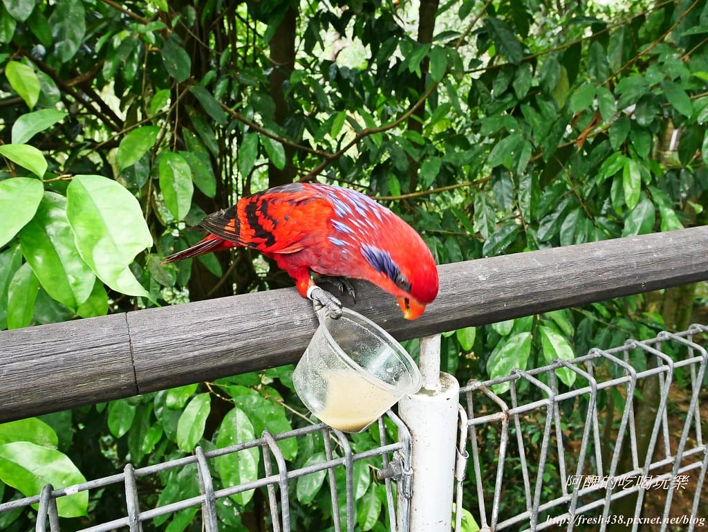 P1500437