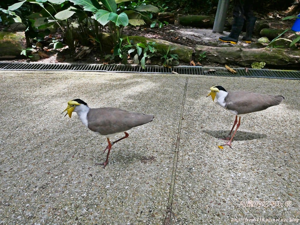 P1500421