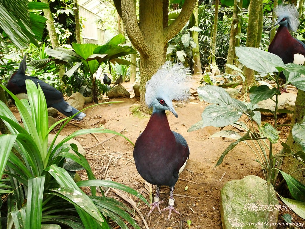 P1500401