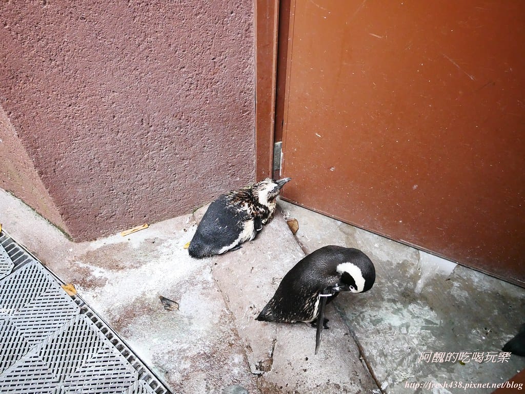 P1500347