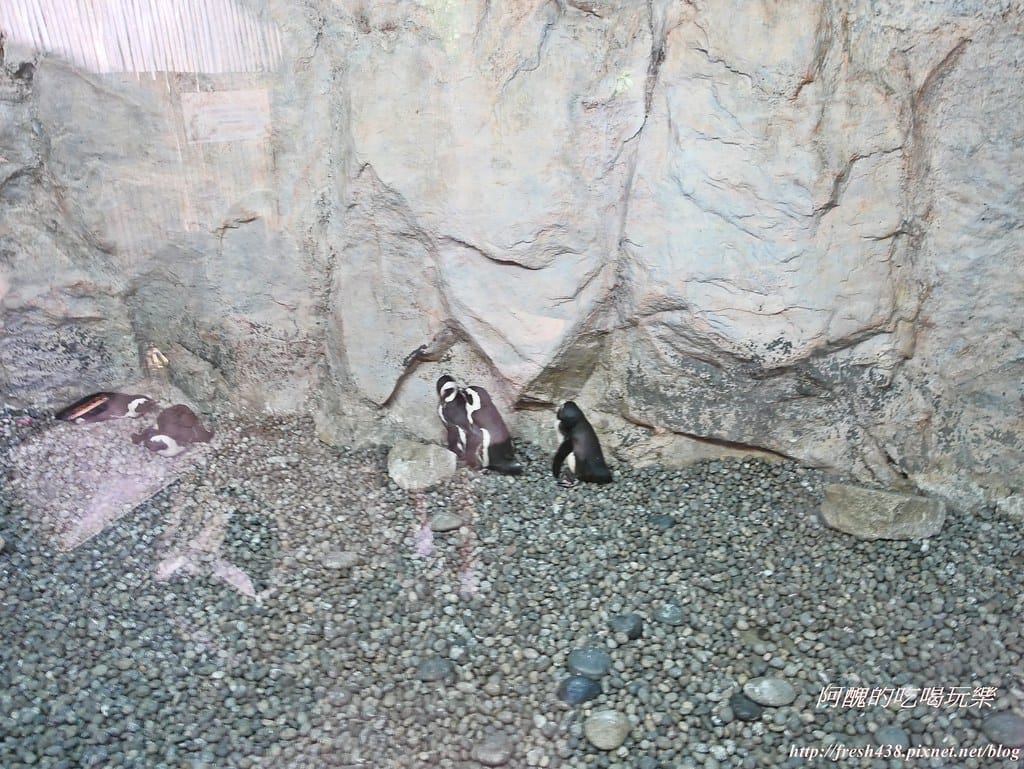 P1500341